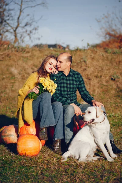 Beautiful couple spend time in a autumn park — Stock Photo, Image