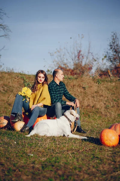 Beautiful couple spend time in a autumn park — Stock Photo, Image