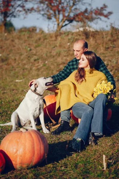 Beautiful couple spend time in a autumn park — Stock Photo, Image