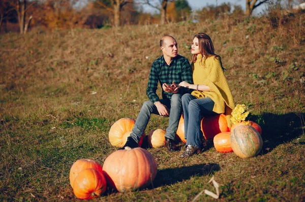 Beautiful couple spend time in a autumn park — Stock Photo, Image