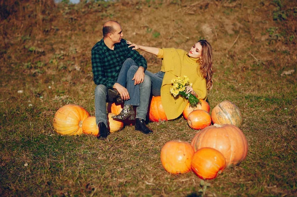아름다운 부부는 가을 공원에서 시간을 보낸다 — 스톡 사진