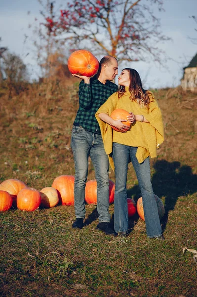 Hermosa pareja pasar tiempo en un parque de otoño —  Fotos de Stock