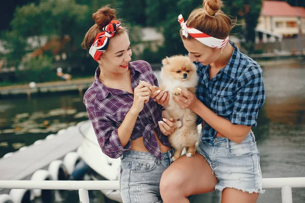 Garotas pin up elegantes com o cachorrinho — Fotografia de Stock