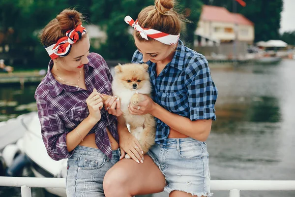 Stijlvolle pin up meisjes met de kleine hond — Stockfoto