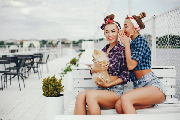 Stylish pin up girls with the little dog — 스톡 사진