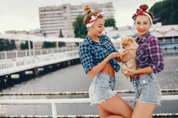 Stylish pin up girls with the little dog — 스톡 사진