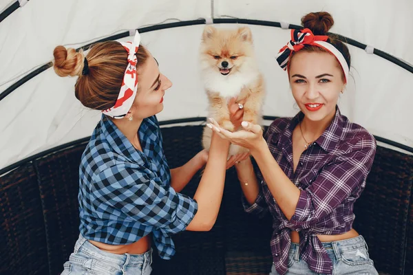 Garotas pin up elegantes com o cachorrinho — Fotografia de Stock