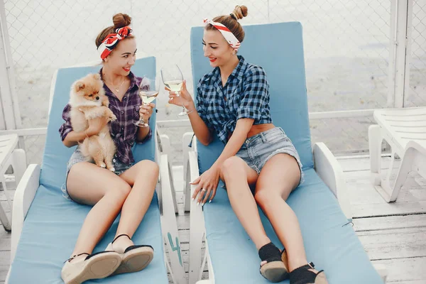 Garotas pin up elegantes com o cachorrinho — Fotografia de Stock