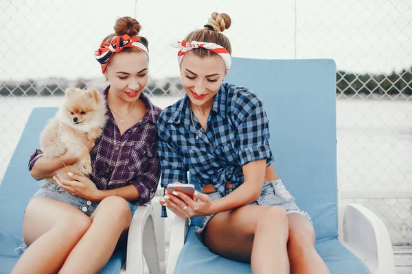 Garotas pin up elegantes com o cachorrinho — Fotografia de Stock