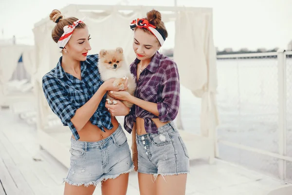 Garotas pin up elegantes com o cachorrinho — Fotografia de Stock