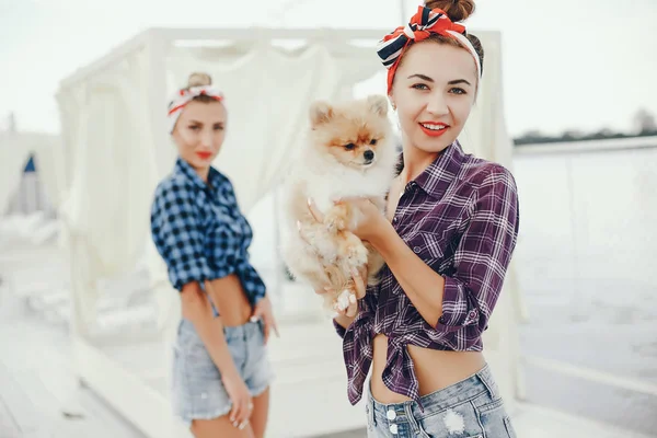 Garotas pin up elegantes com o cachorrinho — Fotografia de Stock