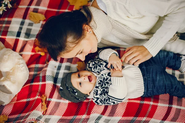 Sonbahar parkında küçük oğlu olan bir aile.