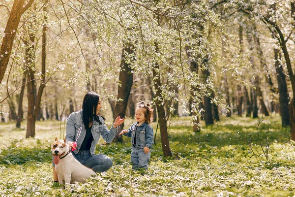Famille mignonne et élégante dans un parc de printemps — Photo