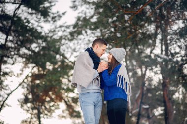 Kış ormanında sevimli ve sevgi dolu bir çift.