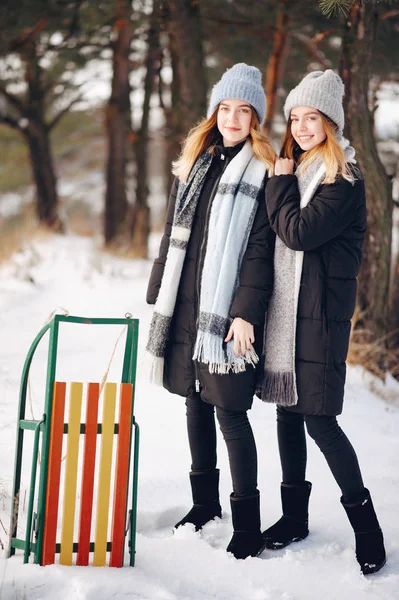 Dwa słodkie dziewczyny w zimowym parku — Zdjęcie stockowe