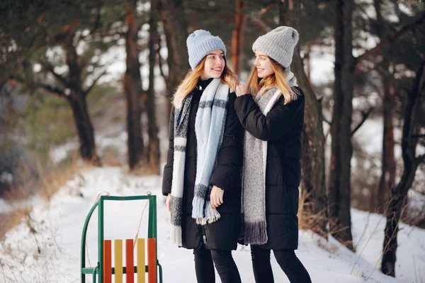 Dos chicas lindas en un parque de invierno — Foto de Stock