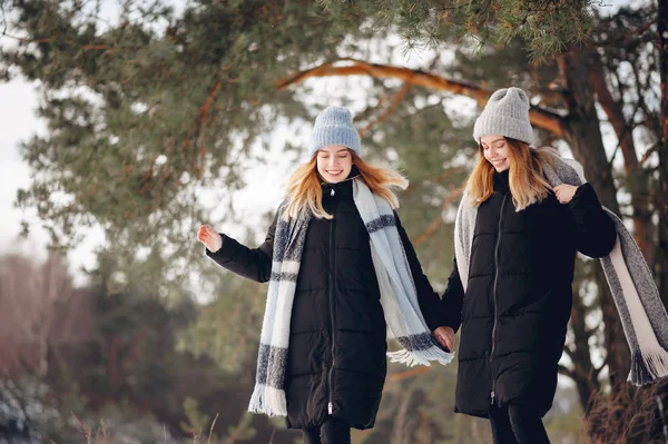 Duas meninas bonitos em um parque de inverno — Fotografia de Stock