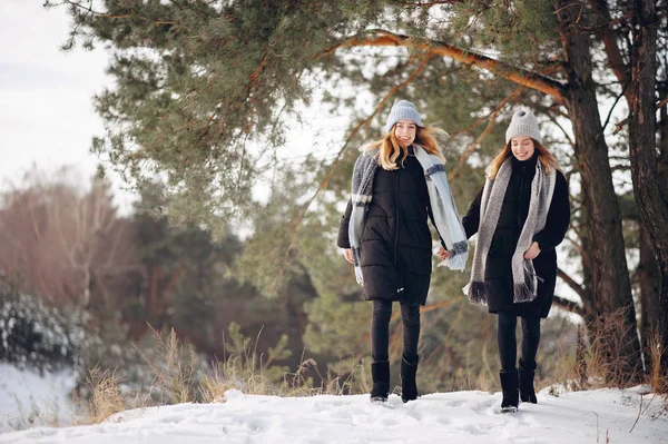 Due ragazze carine in un parco invernale — Foto Stock