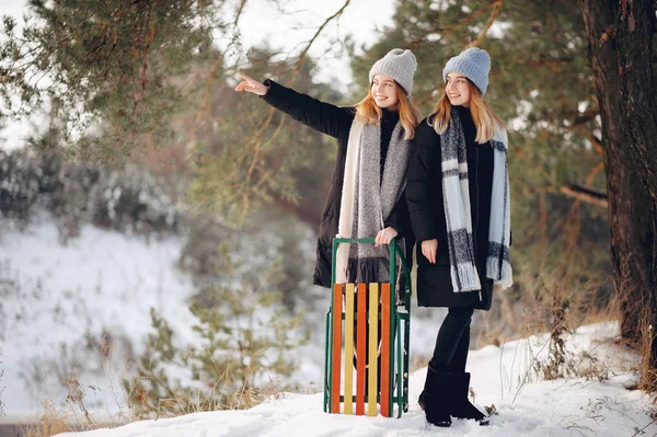 Duas meninas bonitos em um parque de inverno — Fotografia de Stock