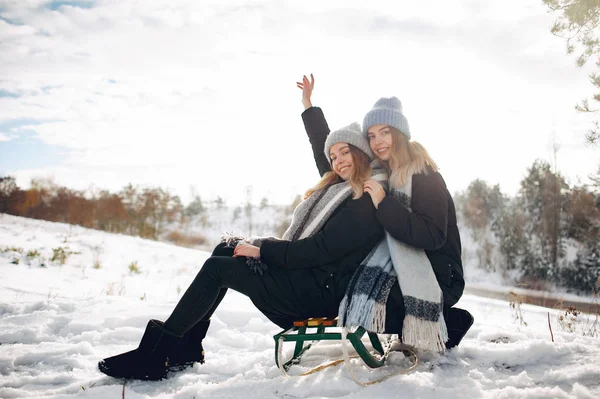 Två söta flickor i en vinterpark — Stockfoto