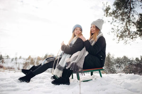 Due ragazze carine in un parco invernale — Foto Stock