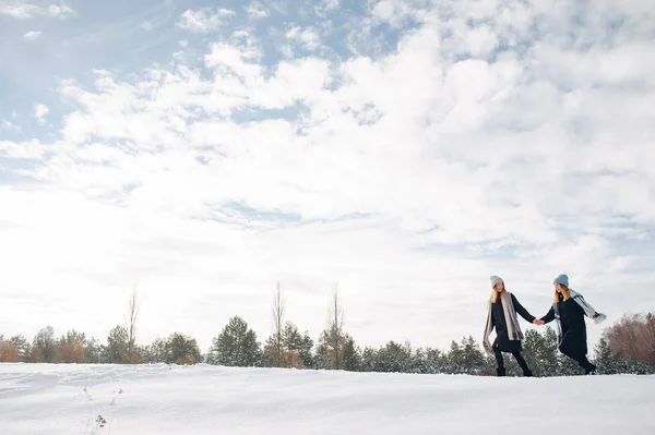Дві милі дівчата в зимовому парку — стокове фото