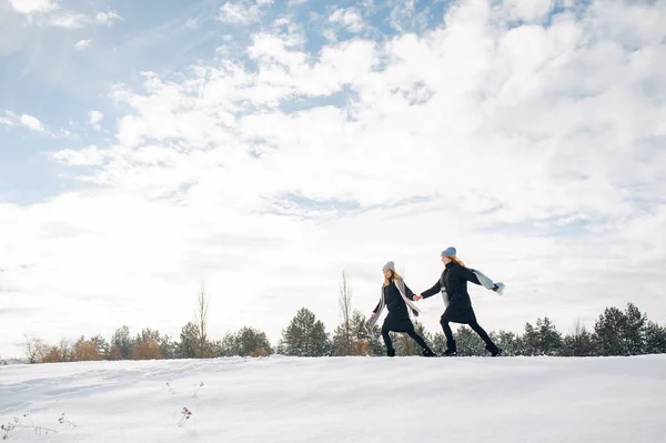 Due ragazze carine in un parco invernale — Foto Stock