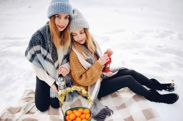 两个可爱的女孩在一个冬季公园里 — 图库照片