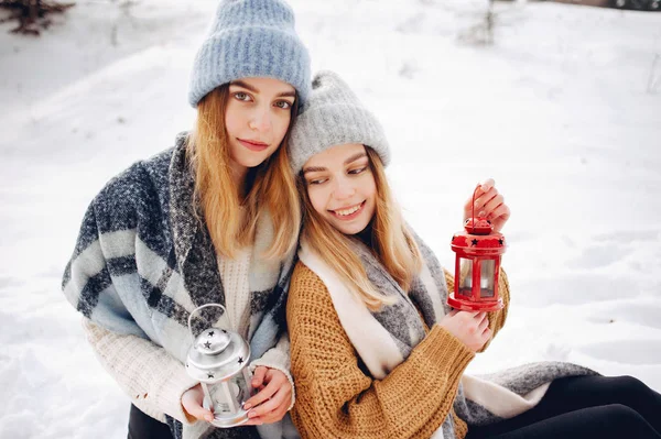 Две милые девушки в зимнем парке — стоковое фото