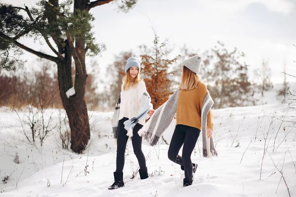 Duas meninas bonitos em um parque de inverno — Fotografia de Stock