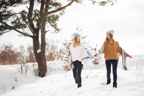 Due ragazze carine in un parco invernale — Foto Stock