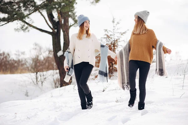 Zwei süße Mädchen in einem Winterpark — Stockfoto