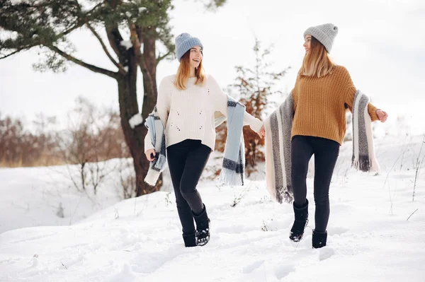 Due ragazze carine in un parco invernale — Foto Stock