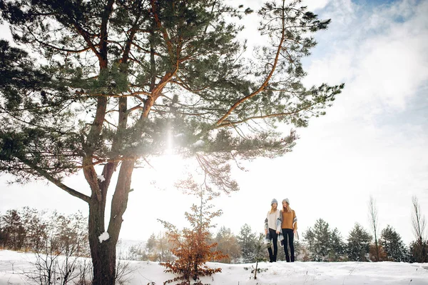 Due ragazze carine in un parco invernale — Foto Stock