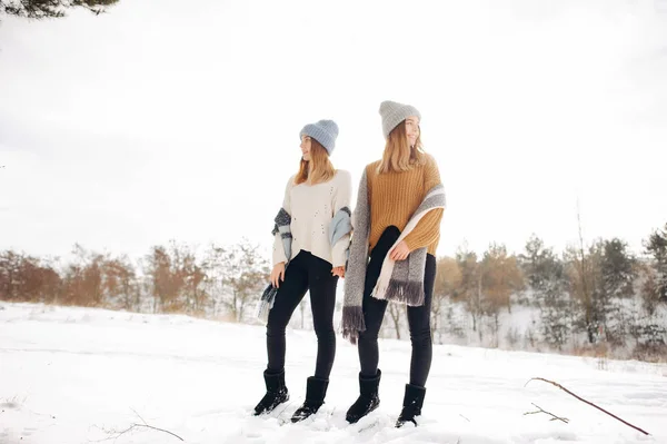 Δύο χαριτωμένα κορίτσια σε ένα χειμερινό πάρκο — Φωτογραφία Αρχείου