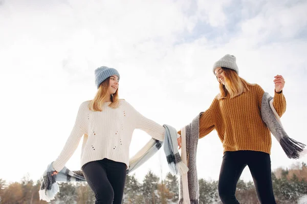 Two cute girls in a winter park — Stock Photo, Image