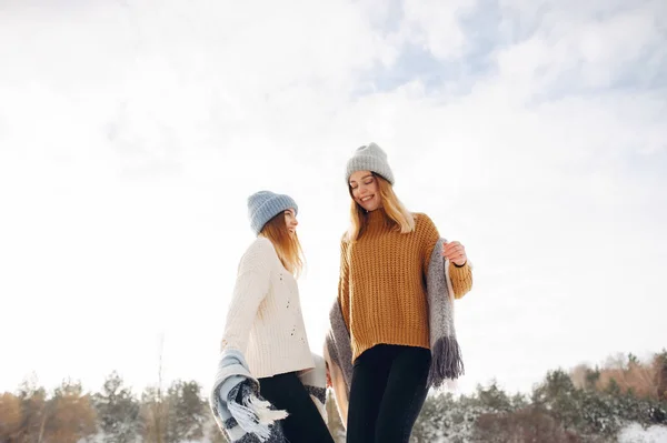 Twee schattige meisjes in een winter park — Stockfoto