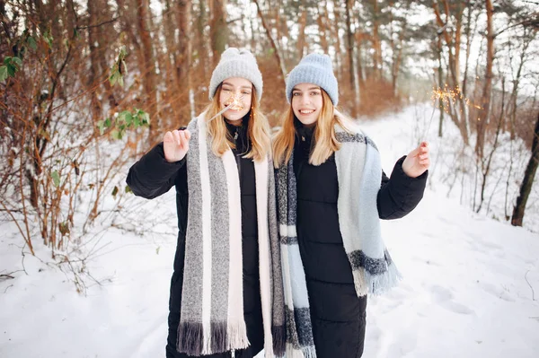 Two cute girls in a winter park — Stock Photo, Image