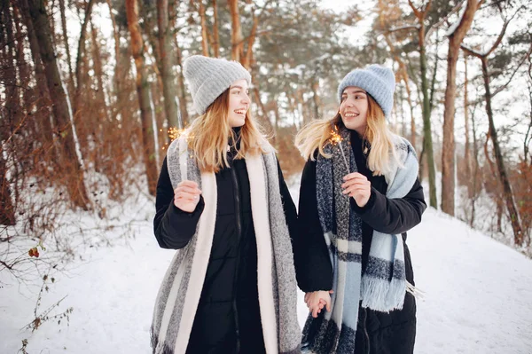 Due ragazze carine in un parco invernale — Foto Stock