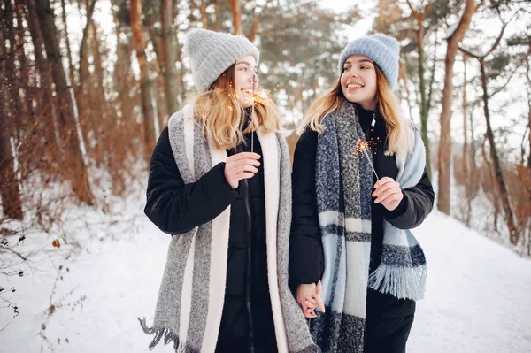 Duas meninas bonitos em um parque de inverno — Fotografia de Stock