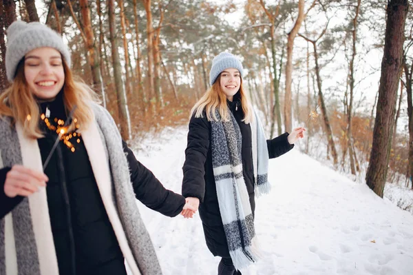 Dos chicas lindas en un parque de invierno — Foto de Stock