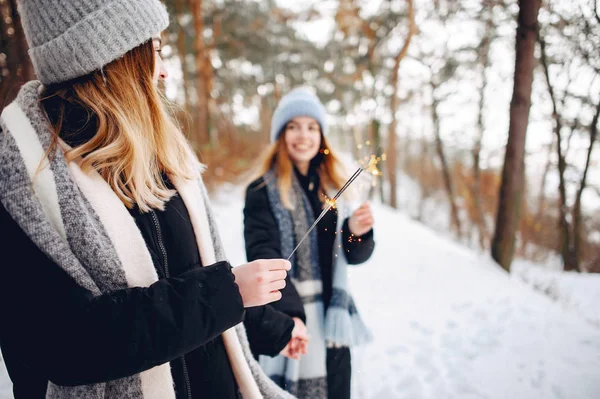 Due ragazze carine in un parco invernale — Foto Stock