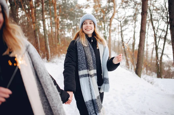 Dos chicas lindas en un parque de invierno —  Fotos de Stock