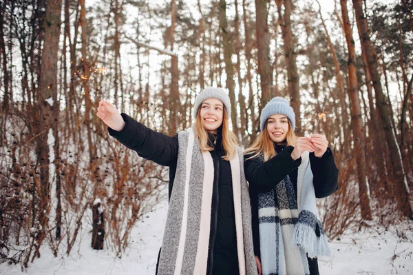 Δύο χαριτωμένα κορίτσια σε ένα χειμερινό πάρκο — Φωτογραφία Αρχείου