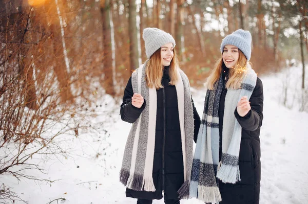 Две милые девушки в зимнем парке — стоковое фото
