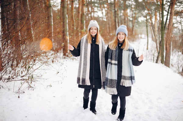 Two cute girls in a winter park — Stock Photo, Image