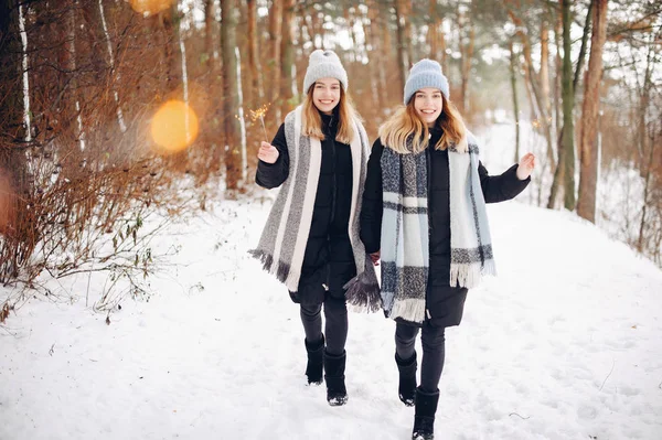 Due ragazze carine in un parco invernale — Foto Stock