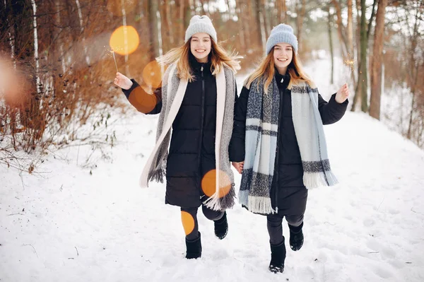 Duas meninas bonitos em um parque de inverno — Fotografia de Stock