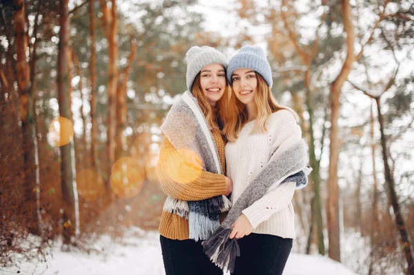 Két aranyos lány egy téli parkban. — Stock Fotó
