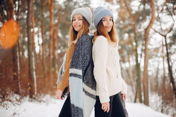 Due ragazze carine in un parco invernale — Foto Stock